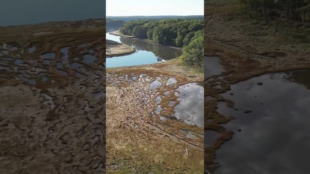 Drone flight over the Amazon River | #nature #art