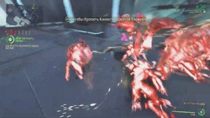 Warframe Тест 28 ранг