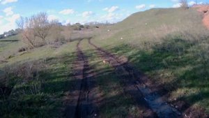 Покатушка!!! Мотоцикл ИЖ планета  с коляской 80-го года