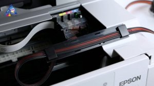 Установка СНПЧ на МФУ Epson Expression Home XP-435