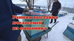 РАННЯЯ ВЫСТАВКА ПЧЕЛОСЕМЕЙ ИЗ ОМШАНИКА, КАК МЫ ДЕЛАЕМ 1 Часть
