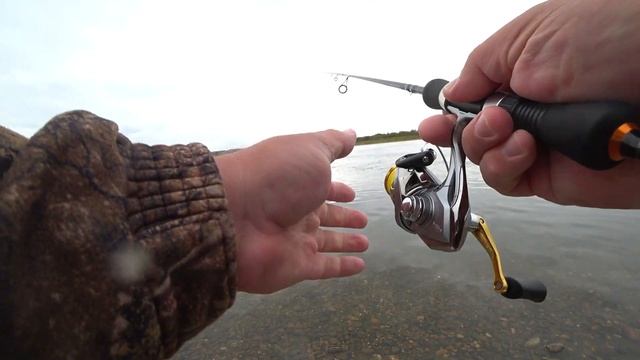 Щука на спиннинг с берега на Томи осенью 2021 смотреть онлайн