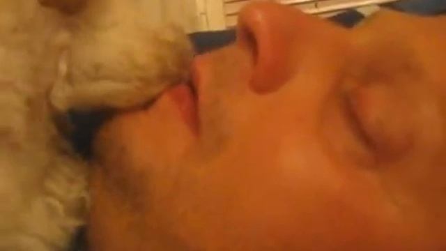 Зубная фея))) смотреть онлайн