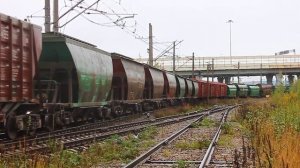 2ТЭ116У-0114 (РЖД/Окт, ТЧ-18 Дно) с грузовым поездом (из Беларуси) заходит на ст. Купчинская