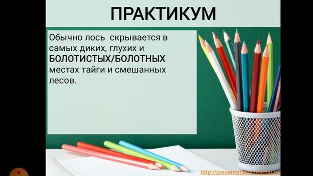 Словарь паронимов. Болотный-болотистый