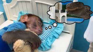 Monkey Baby Bon Bon Goes To Harvest Watermelon Chased By Dinosaur And Swim With Duckling In The Poo