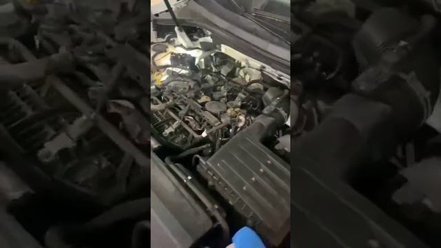 ГБО на VW Tiguan с комби впрыском