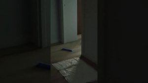 Давай заведем собачку!