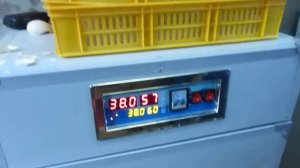 Выведение индюшат в фермерском инкубаторе MJA