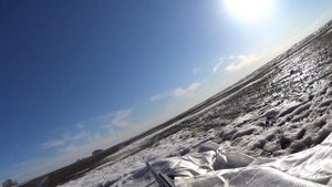 Охота на гуся весной на озимых и на пролёте 2022 г...