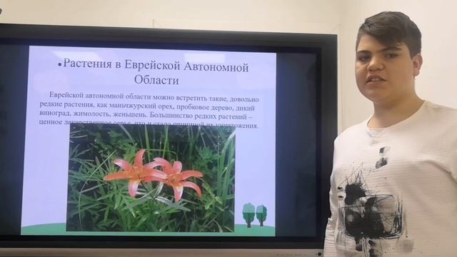 Презентация проекта Моя родина Еврейская автономная область смотреть онлайн