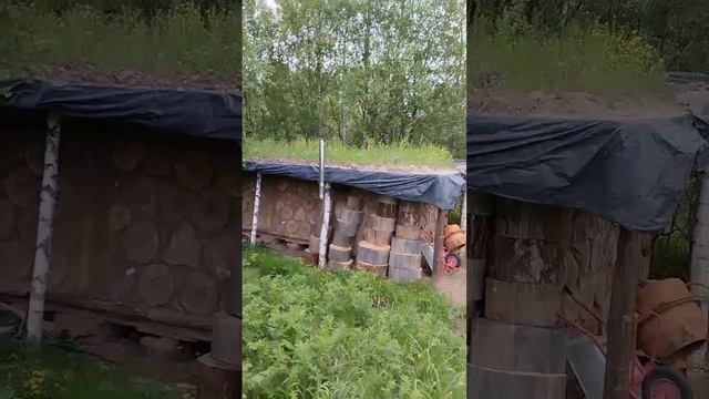 Крыша цветет