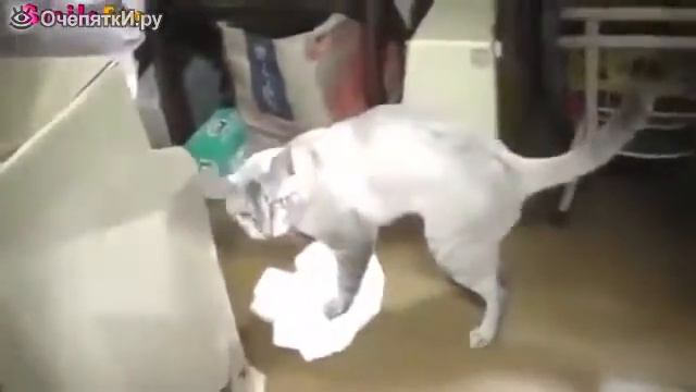 Круты каты