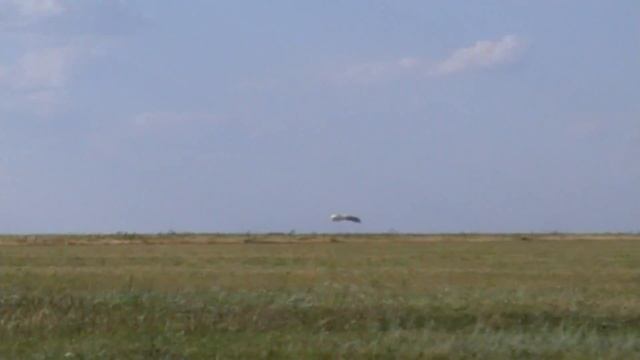 Первый прыжок с парашютом first parachute jump