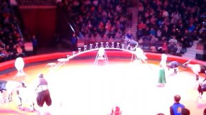 козы в цирке