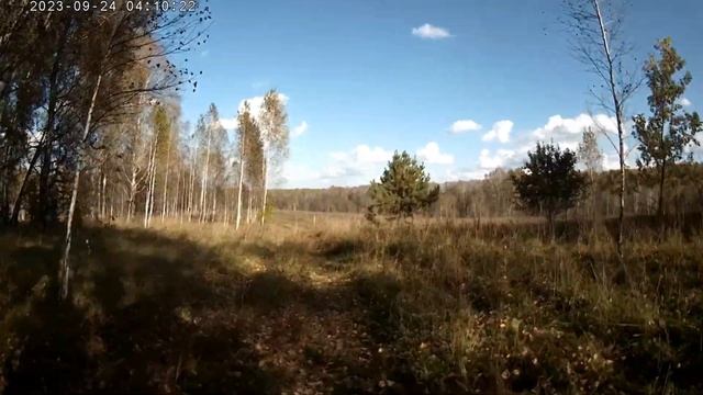 052. 2023. Электроизгородь в Маслянино строят в лесу в районе сырзавода. Что происходит?