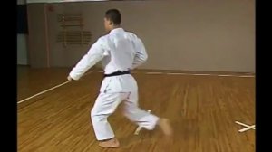 SKIF Heian Shodan