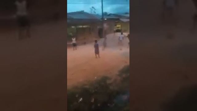 Con Mi Amigo Sambo смотреть онлайн