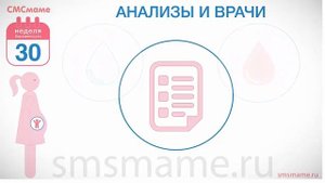 30 неделя беременности - декретный отпуск, анализы и врачи.