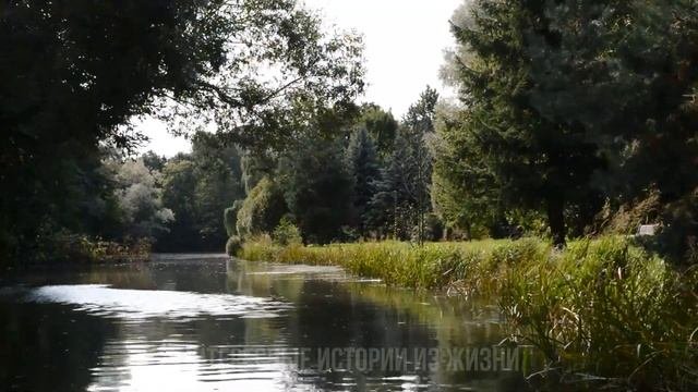 ПОЕЗДАТАЯ ИЗМЕНА ЖЕНЫ НЕ ЛОМАЯСЬ. Интересные истории из жизни. Жизненные истории, аудио рассказы