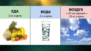 "Значение воздуха для жизни", Окружающий мир 3 класс ч.1, с.47-48, Планета знаний.