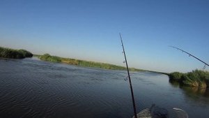 Рыбалка в Темрюкских лиманах