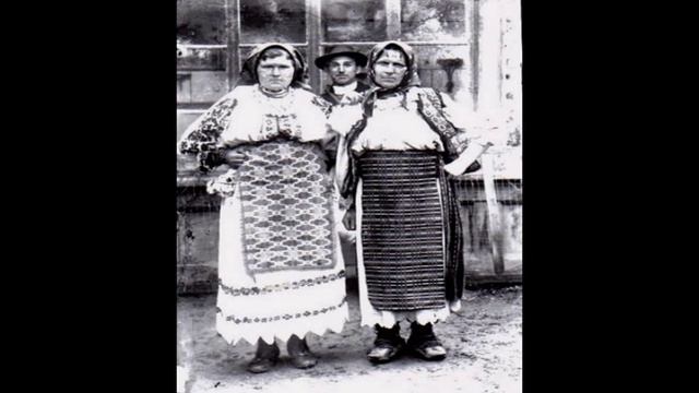Braul lui Nelu Stan din Prigor.wmv