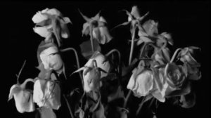 Пробудись душа Юлия Славянская