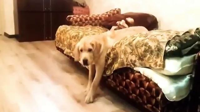 Ауууу на работу как на праздник смотреть онлайн