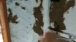 Как содержать врановых Птиц? дома без надлежащего Наблюдения!!!