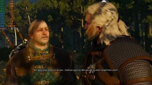 The Witcher 3: Wild Hunt | AMD Radeon R4 Graphics | 2020