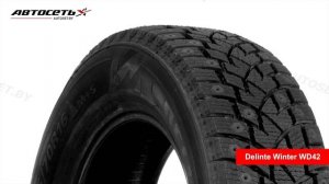 Обзор зимней шины Delinte Winter WD42 ● Автосеть ●