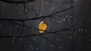 Мария Романова - Романс "Я пережил свои желанья", исполняет Дьяков Борис, 2003 г.