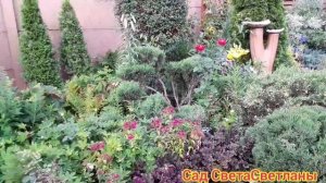 Наш красивый сад.Начало зимы.Основа красивого сада.Ландшафтный дизайн своими руками.Красивая дача.