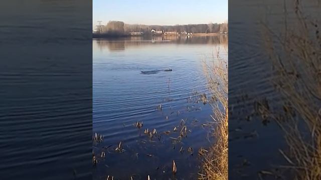 Уфа озеро тёплое