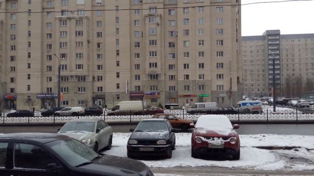Савушкина 133