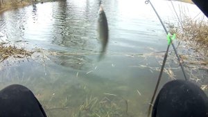 Рыбалка на Мёртвом Донце! себель как селёдка!!! Рыбалка в ростовской обл! Don Fisherman.