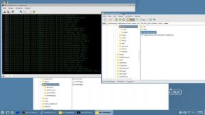 Как установить FAR2l на Astra Linux