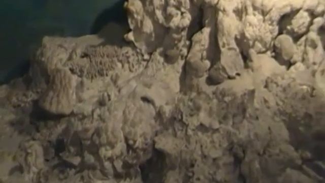 Музей природы на острове Попова(Приморье) смотреть онлайн