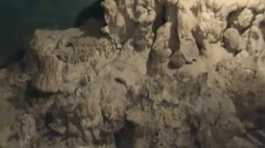 Музей природы на острове Попова(Приморье)