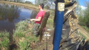 Рыбалка на поплавок и фидер в Волгореченске.Нападение клещей.