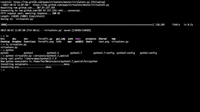 Python Virtual Environments