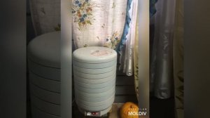 Сушеный лук в сушилке Волтера 1000 люкс