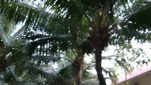 Вьетнам. Март 2012. Отель Ocean Star Resort 4* Смотреть до конца!