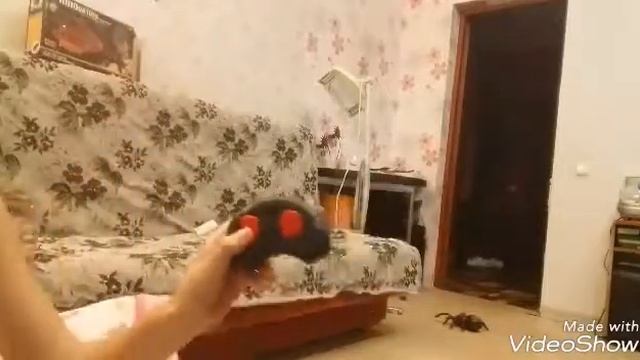 Тарантул смотреть онлайн