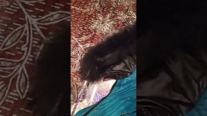 Средство для манжетов и воротничков Эрсаг.