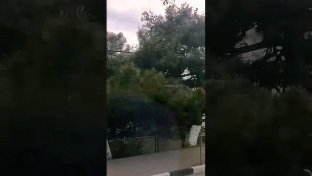 едем в Абрау Дюрсо#жизньуморя #мальтийскаяболонка #экскурсия