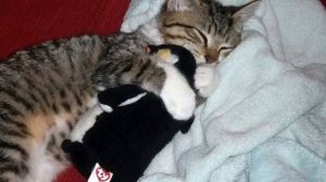 Музыка от головной боли. Просто класс! Исправляет...