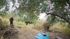 АСТРАХАНСКАЯ РЫБАЛКА В ДЕЛЬТЕ ВОЛГИ. Село Мумра, октябрь 2022 года. Часть пятая