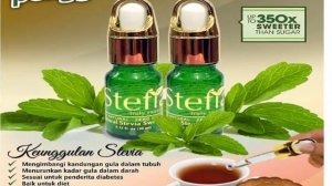 (T-SEL 0821-4082-5735) AGEN STEVIA SIDOARJO